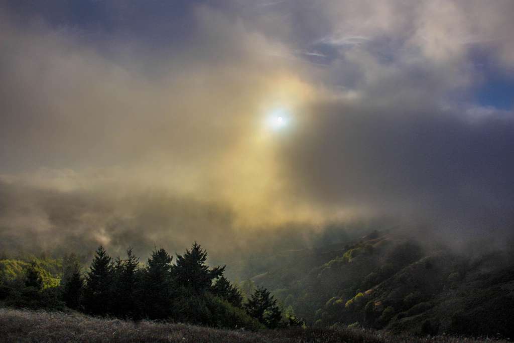 Sun peeks through the fog