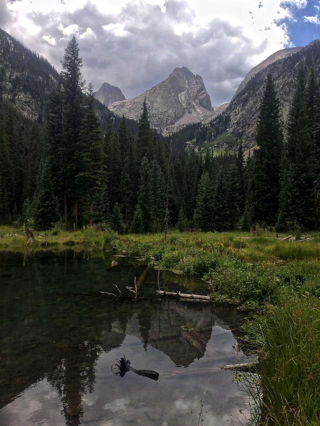 Beaver Pond