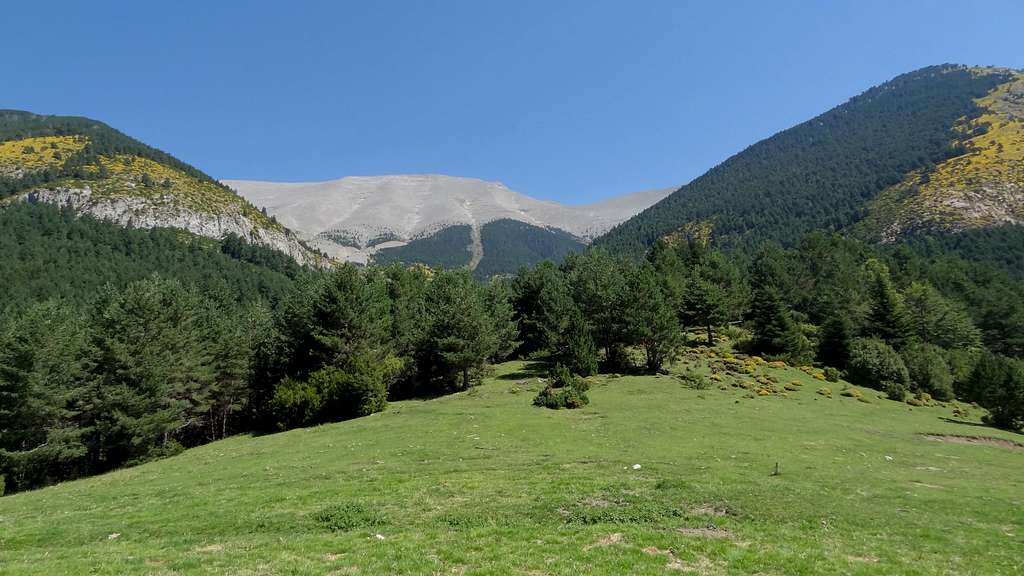 Green panorama at Refugio de Cullibert