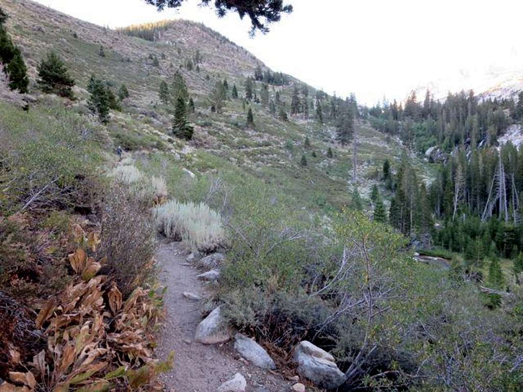 Trail above Horse Creek