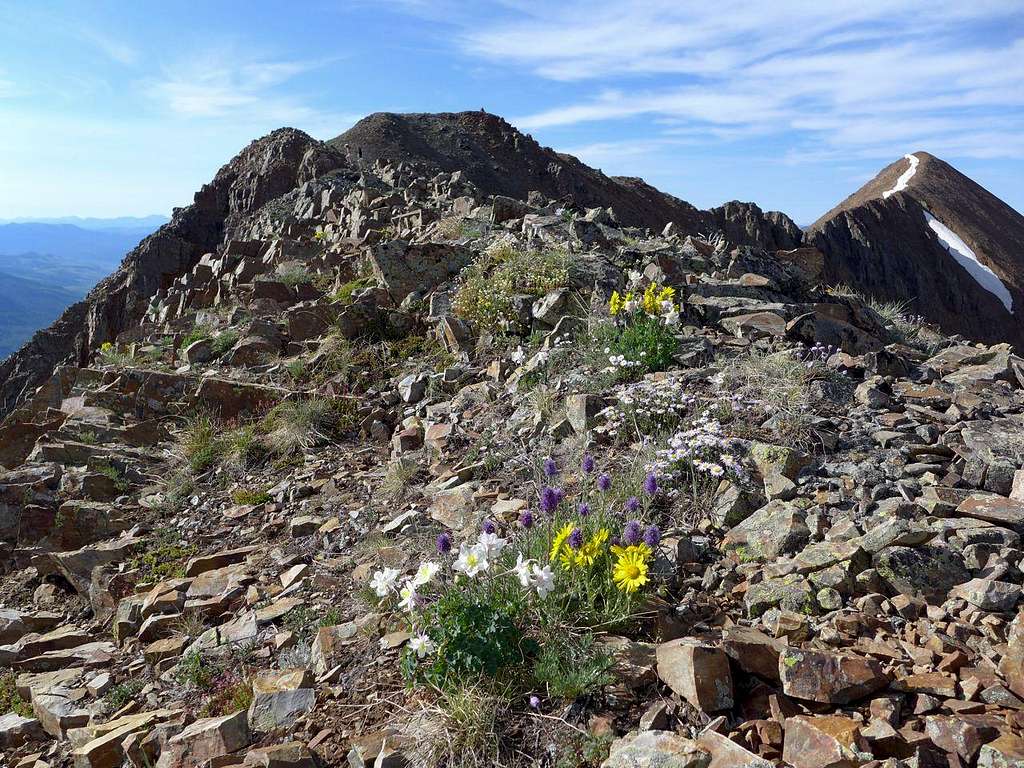 Summit Ridge, Baldy