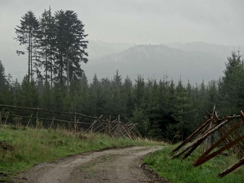 Rainy landscape of Bohemia