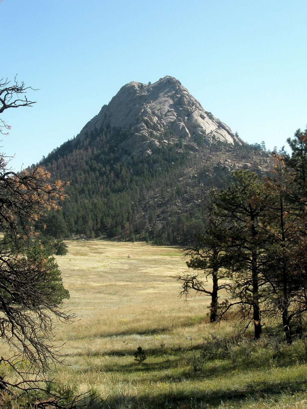Greyrock Meadow & Greyrock Mountain