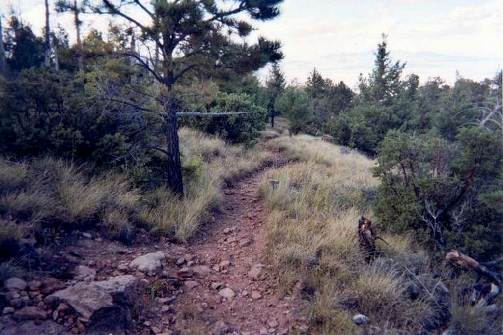 A view of the trail near the...