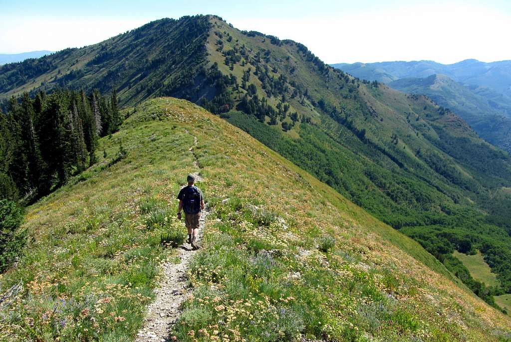 Northeast ridge trail