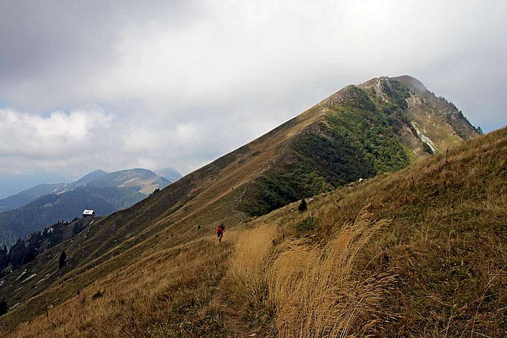 On the E ridge of Golica