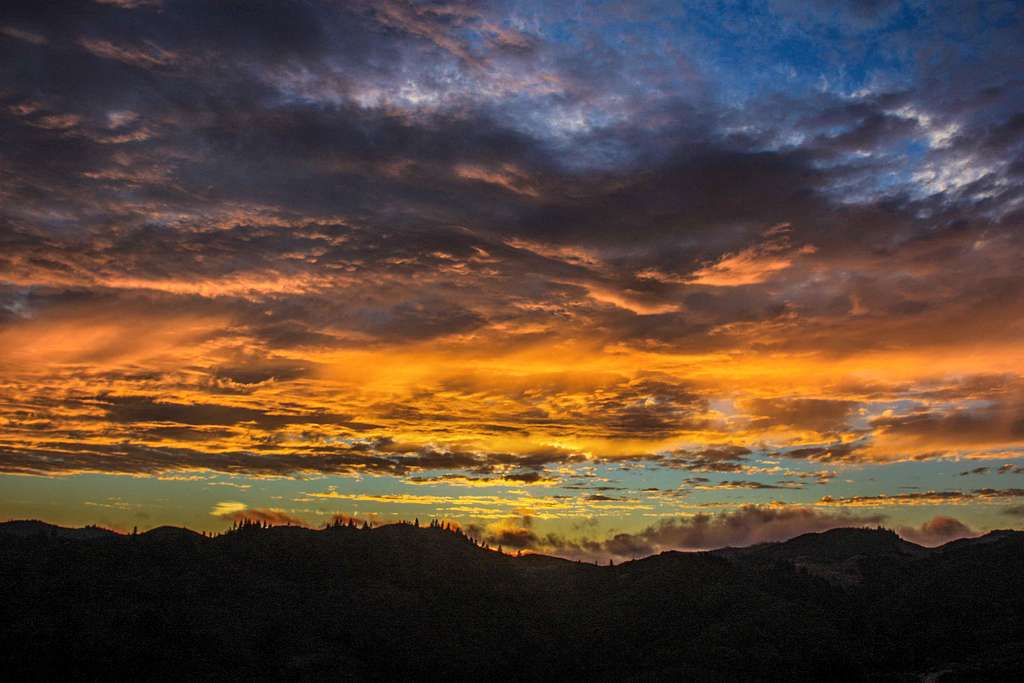 Sunset Azalea Hill