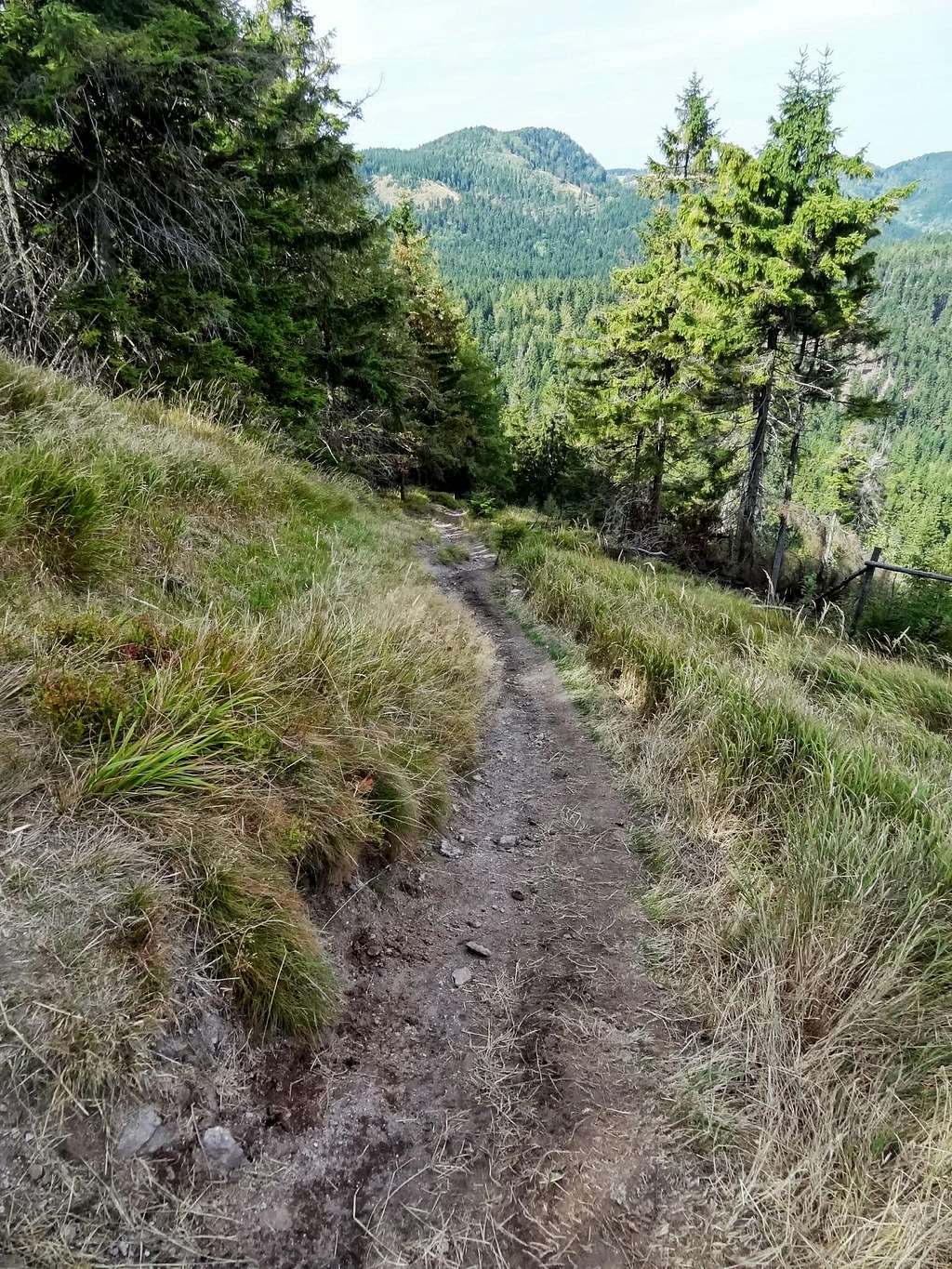 Ruprechtický Špičák steep trail