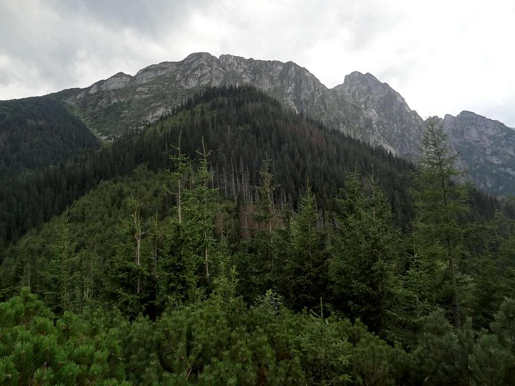 Giewont from the pass under Sarnia Skała