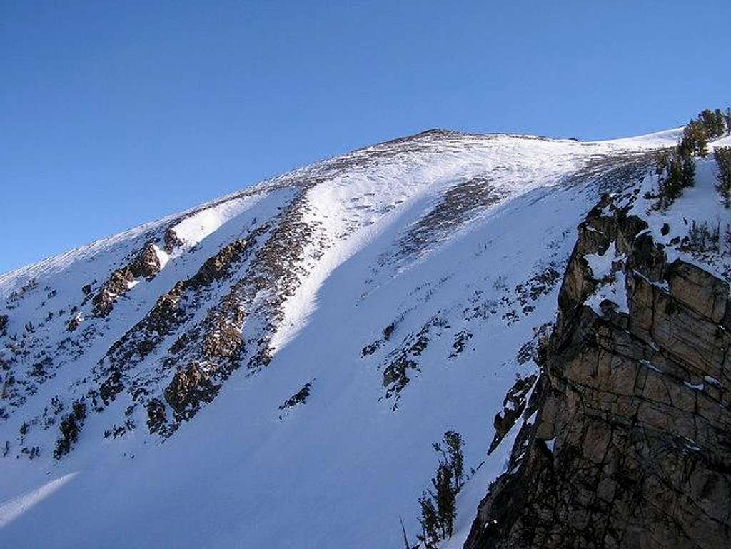 View of Freel Peak summit...
