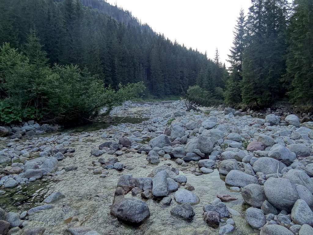 Javorova river