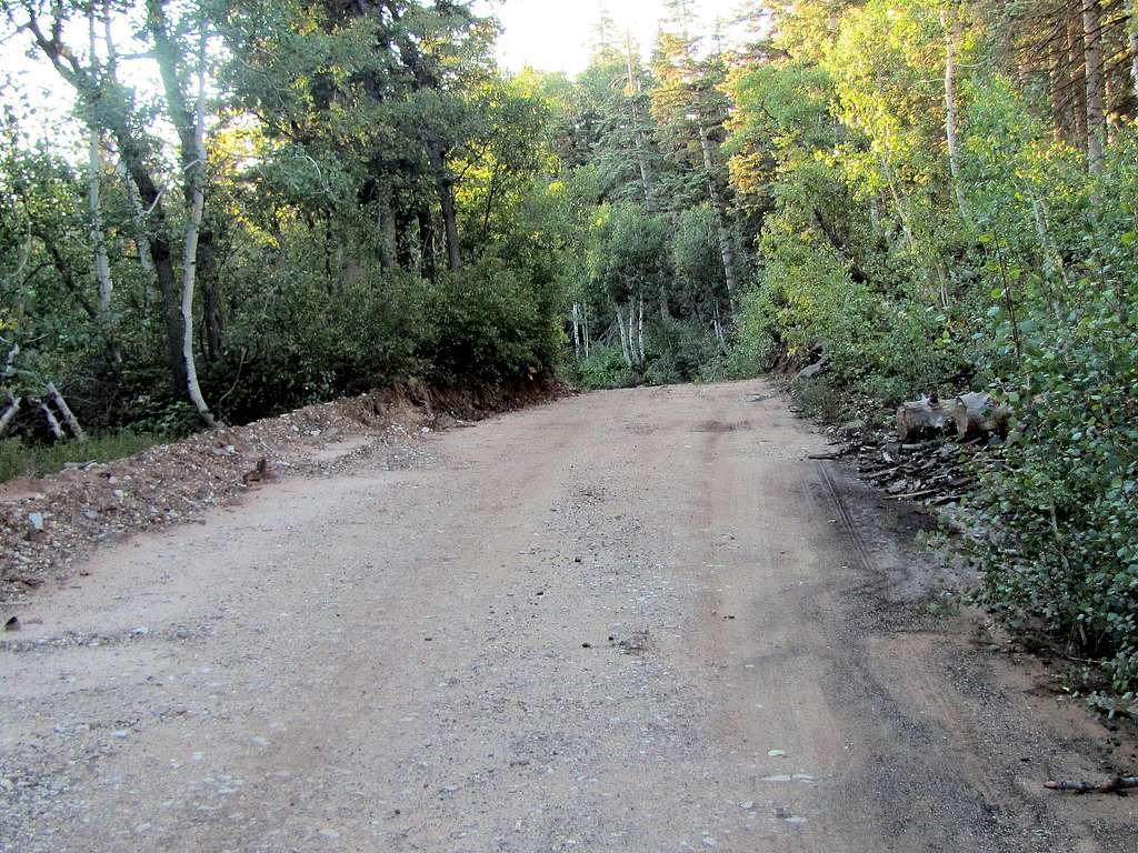 The road to West Rim's northern trailhead