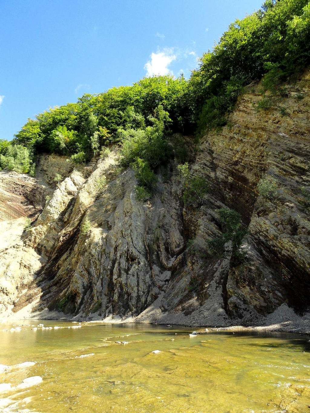 Wall of Olza at River Wisłok, near Rudawka Rymanowska