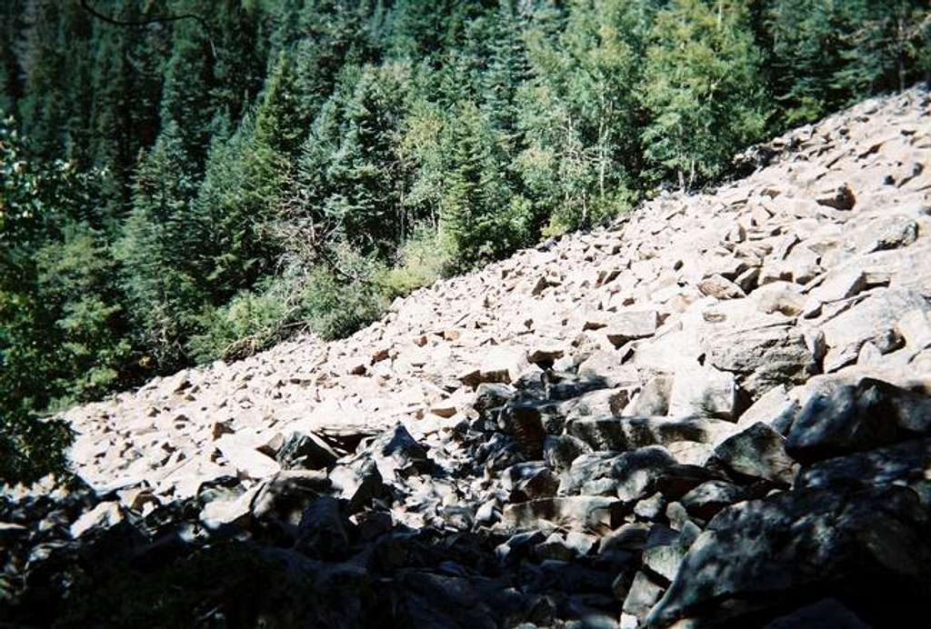 The rock scree slope.