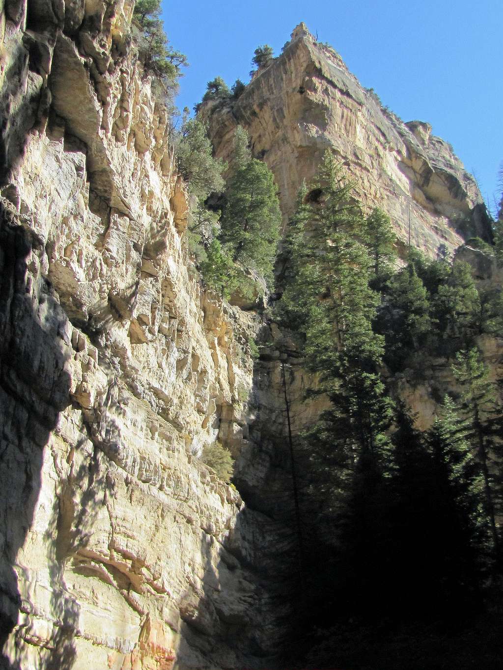 Ashdown Gorge Narrows