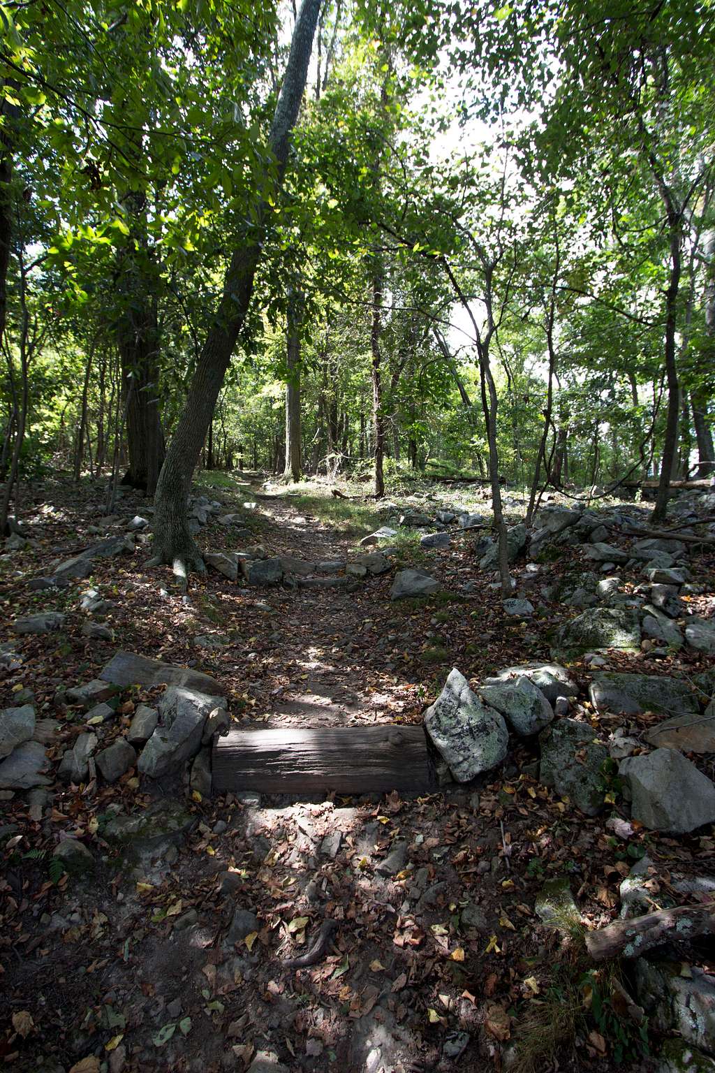 Appalachian Trail near the Monument