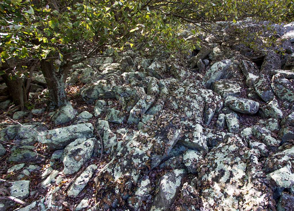 Lichen Covered Rockslide
