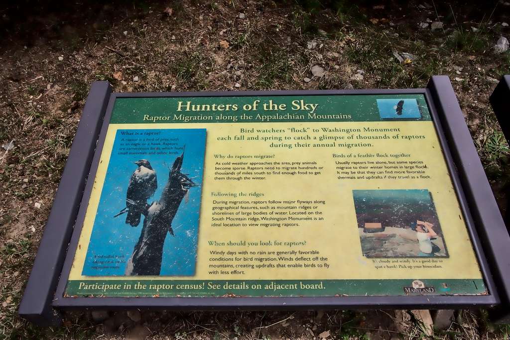 Hunters of the Sky Sign