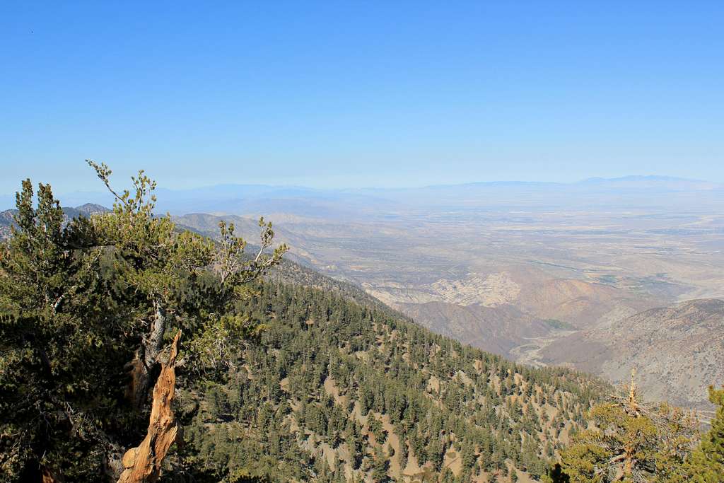Northeast View from trail to Mount Baden-Powell