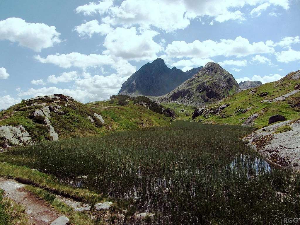 An overgrown high alpine pond on the broad east ridge of the Breitspitze, with the Ballunspitze looming in the background