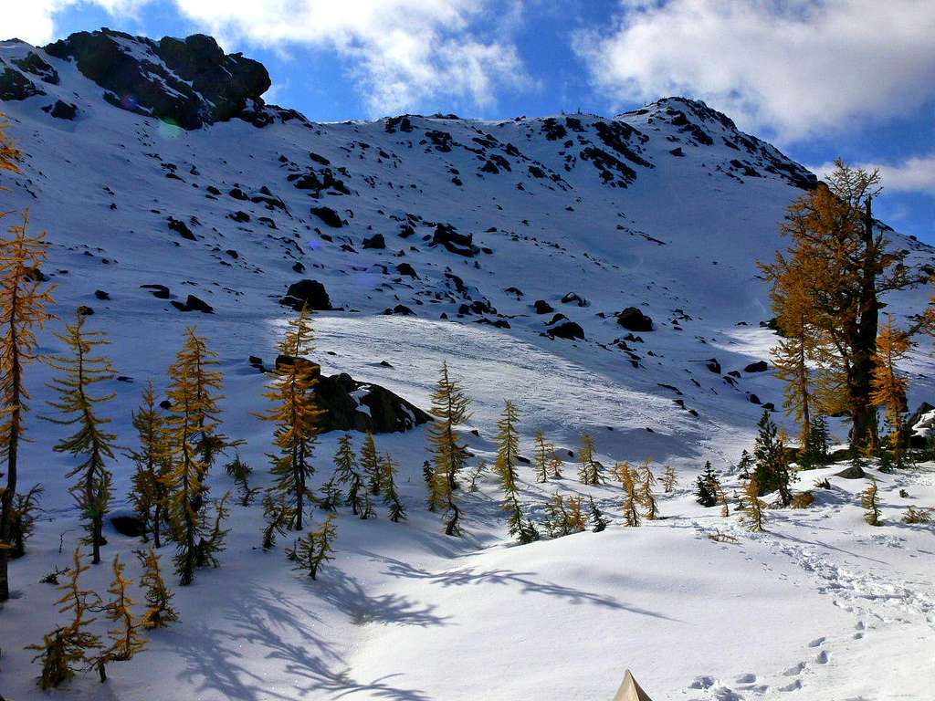 Larches near Headlight Basin