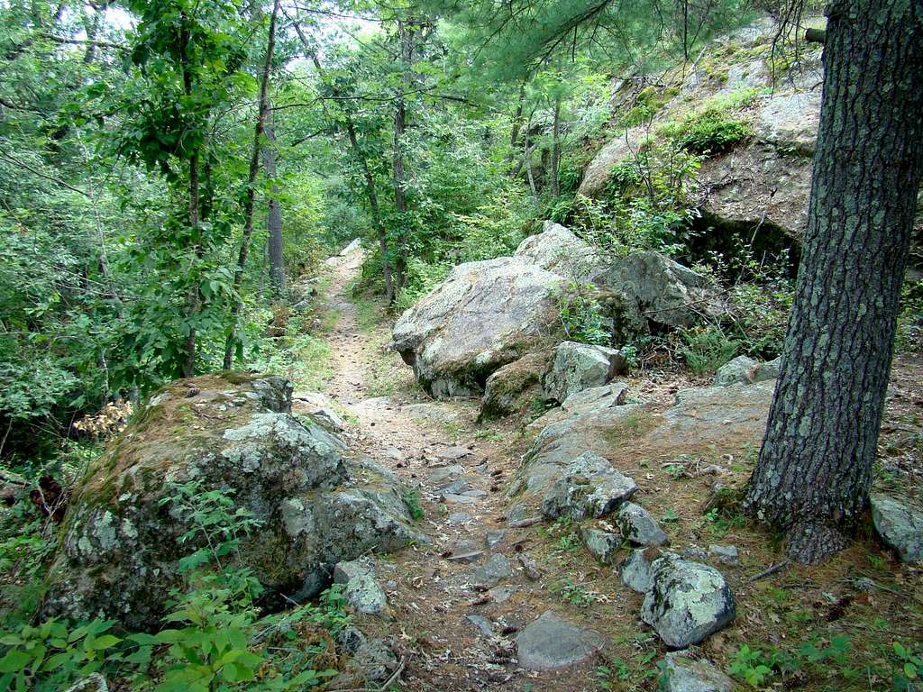 Trail to Eagle Peak