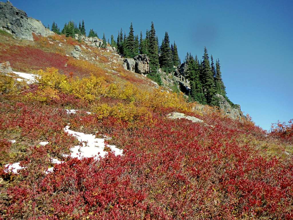 Fall colors high on Alta