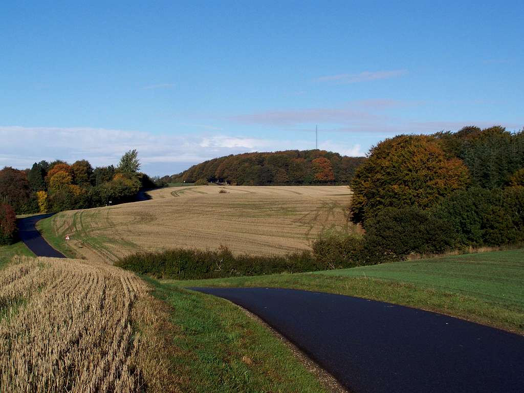 Yding Skovhøj - this hill owned the title of Denmark's highpoint till 1953