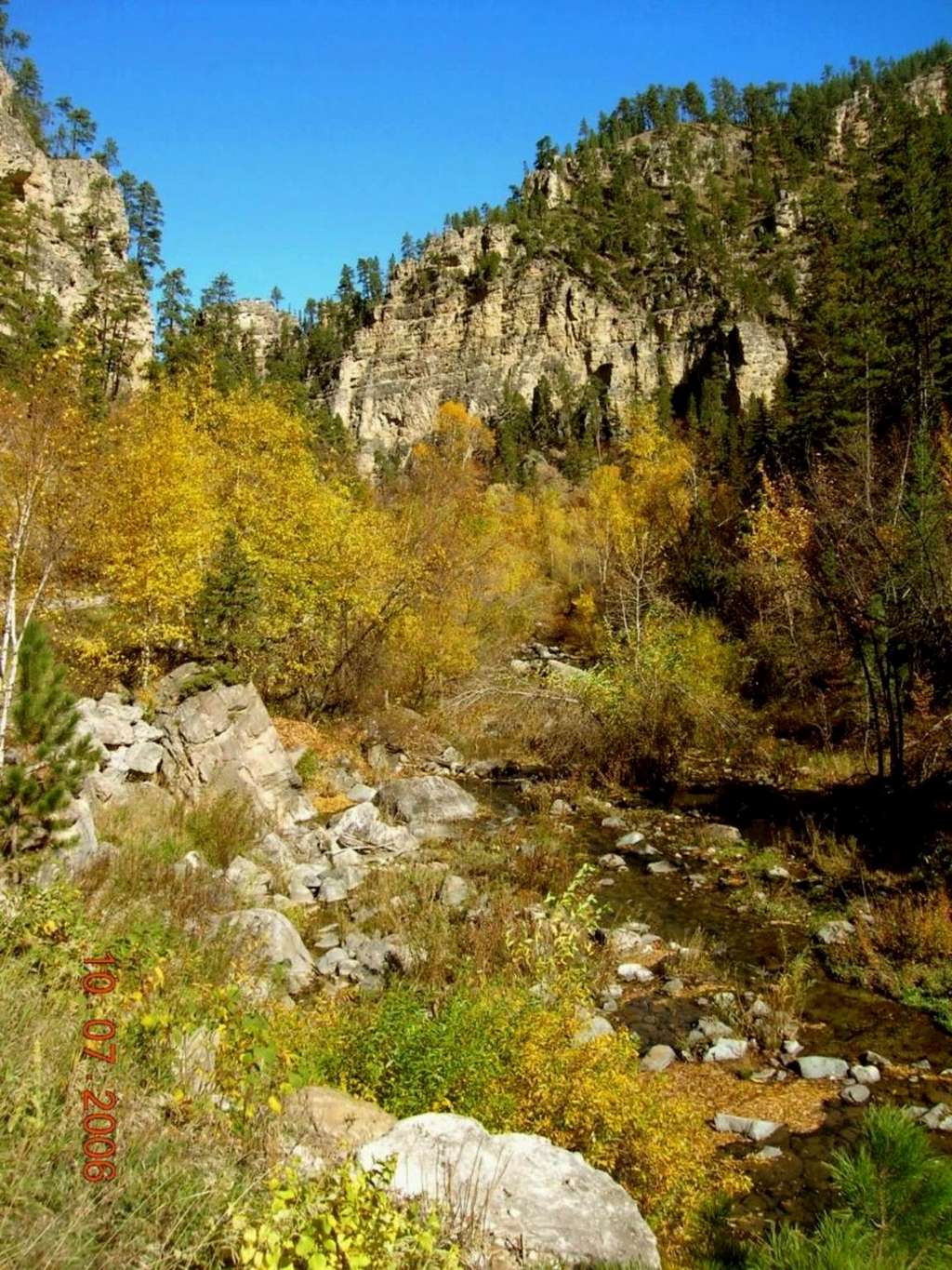 Spearfish Canyon View