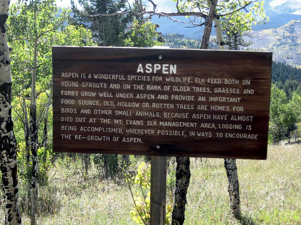 Aspen info - great habitat!