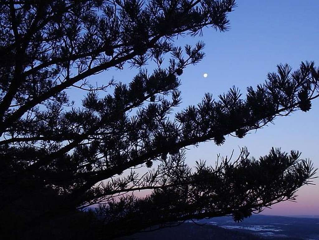 Moonset on an early winter's...