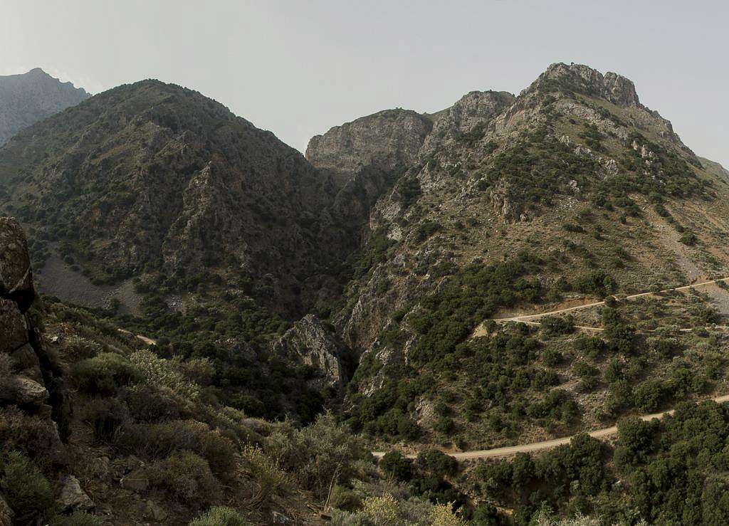 Looking up into Mesonas Gorge