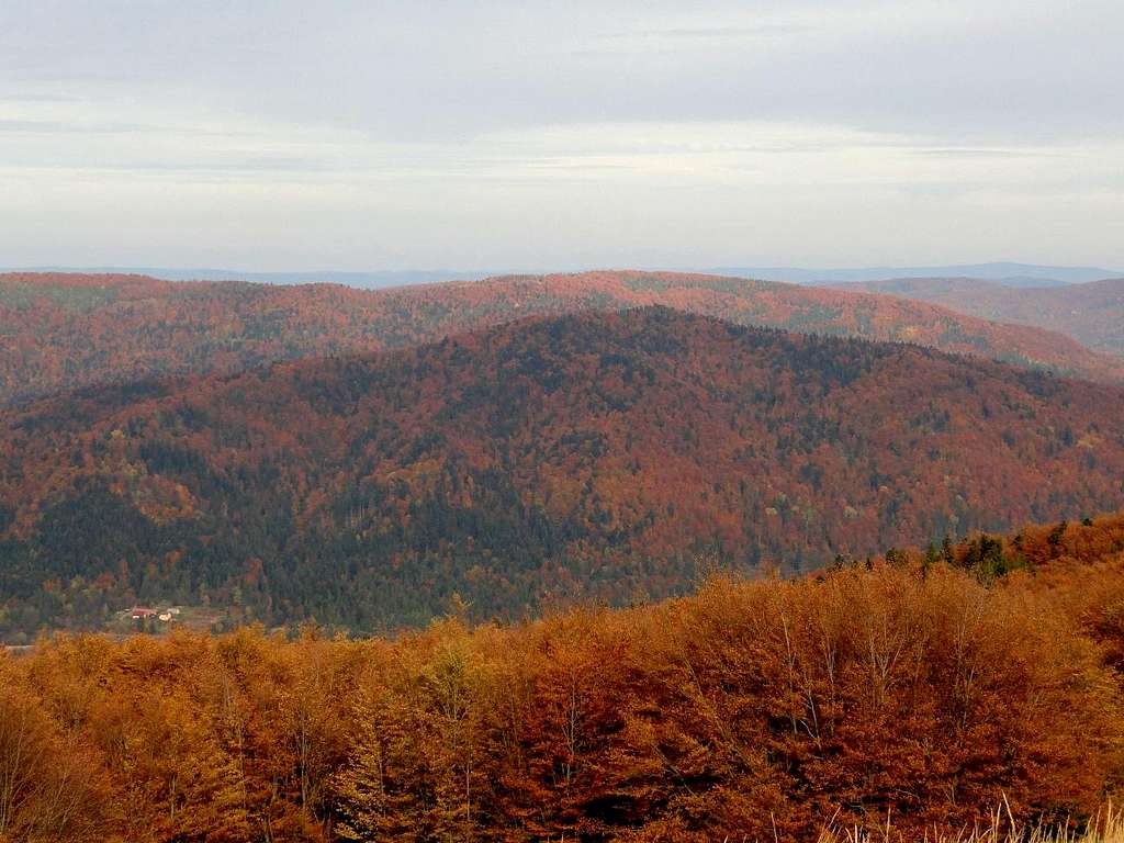 View from the trail on Mount  Jasło