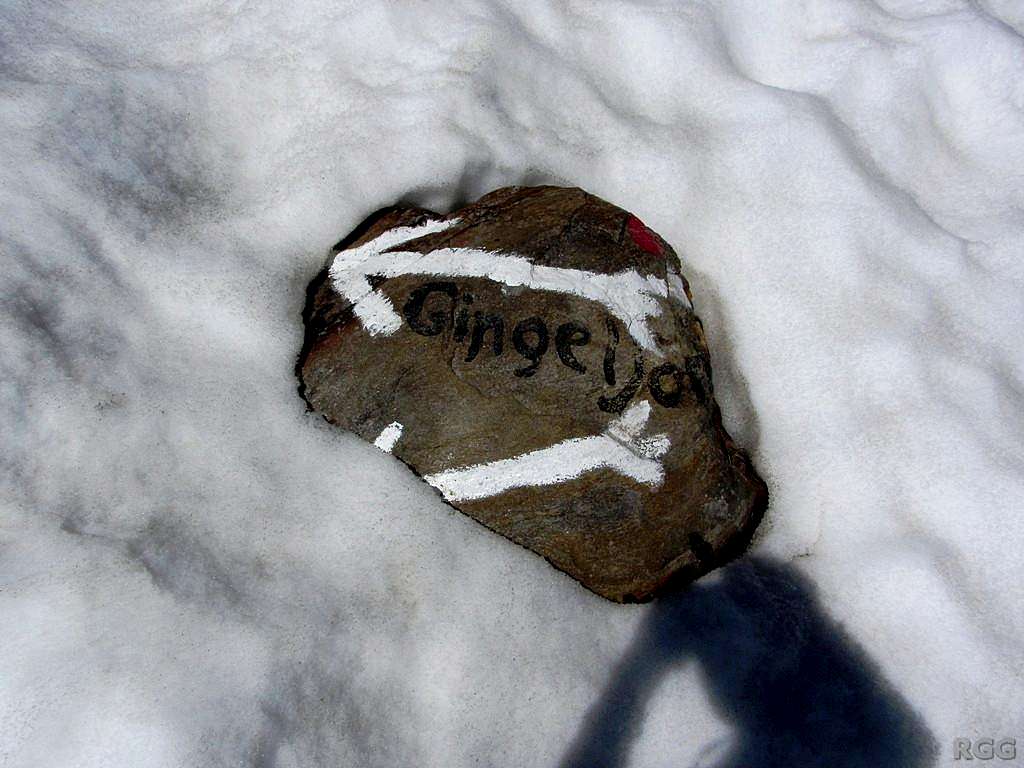 Route marker in the snow
