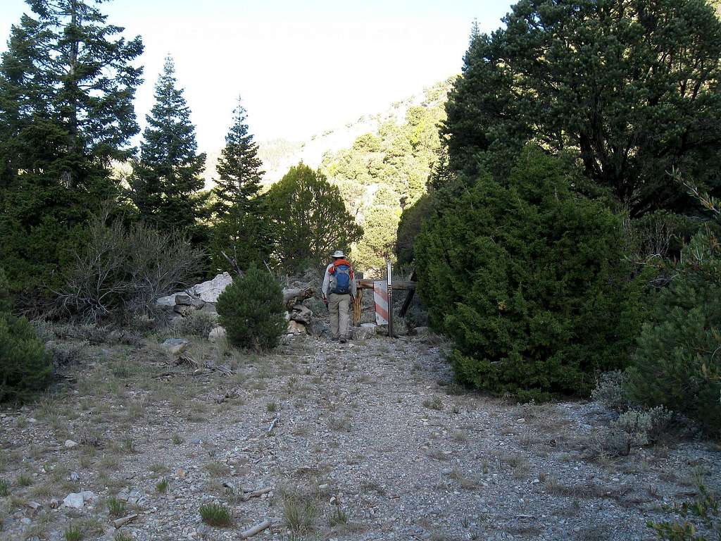 2013 in Nevada - Troy Peak