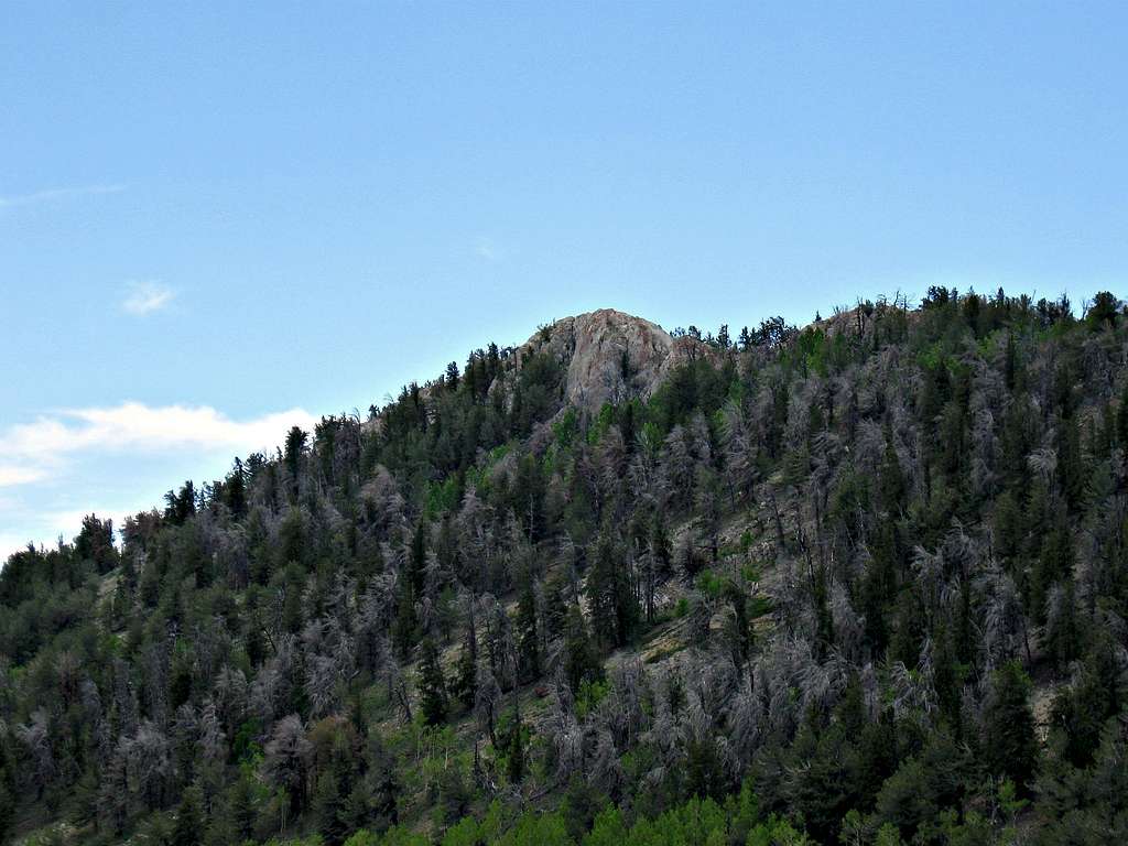 2013 in Nevada - Egan BM Peak