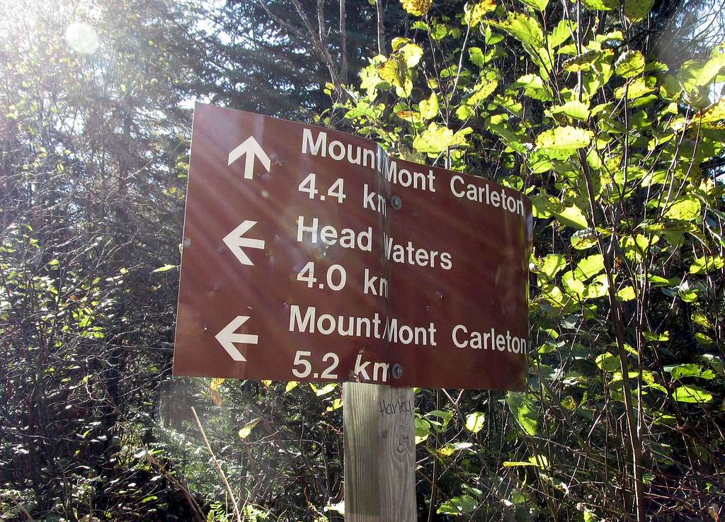 Mount Carleton Trail Intersection