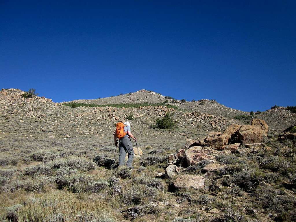 2013 in Nevada - Shoshone Peak