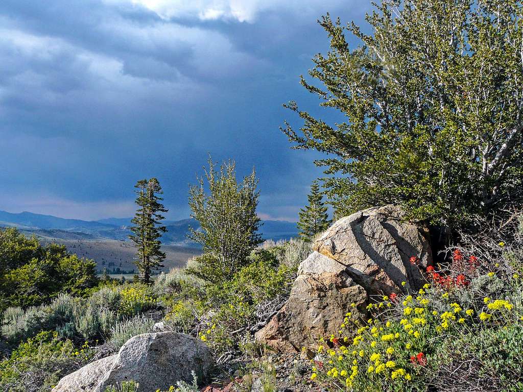 Storm over Mono Basin from the Parker Lake trail