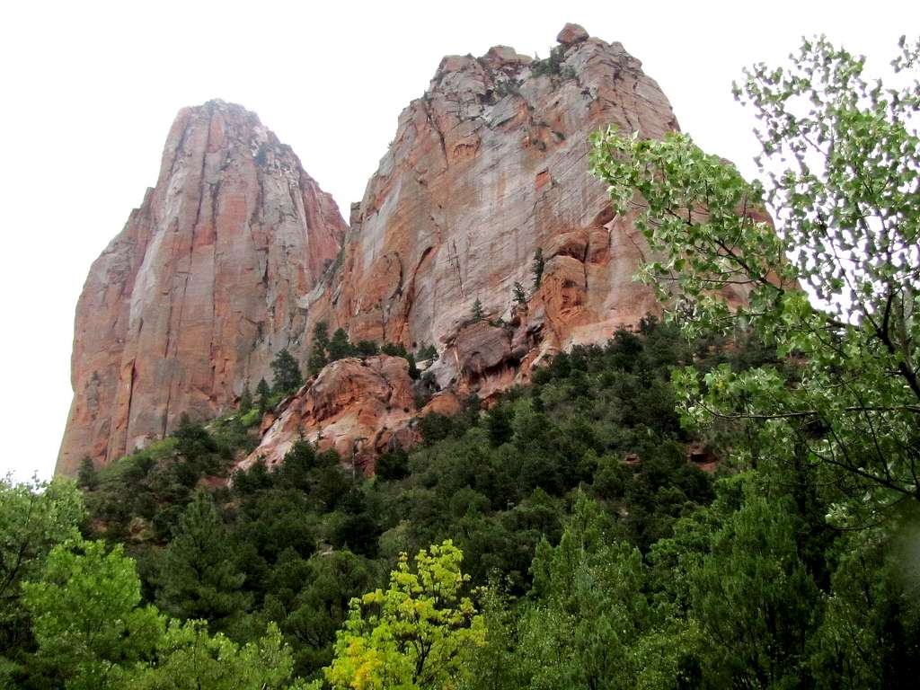 North Fork of Taylor Creek