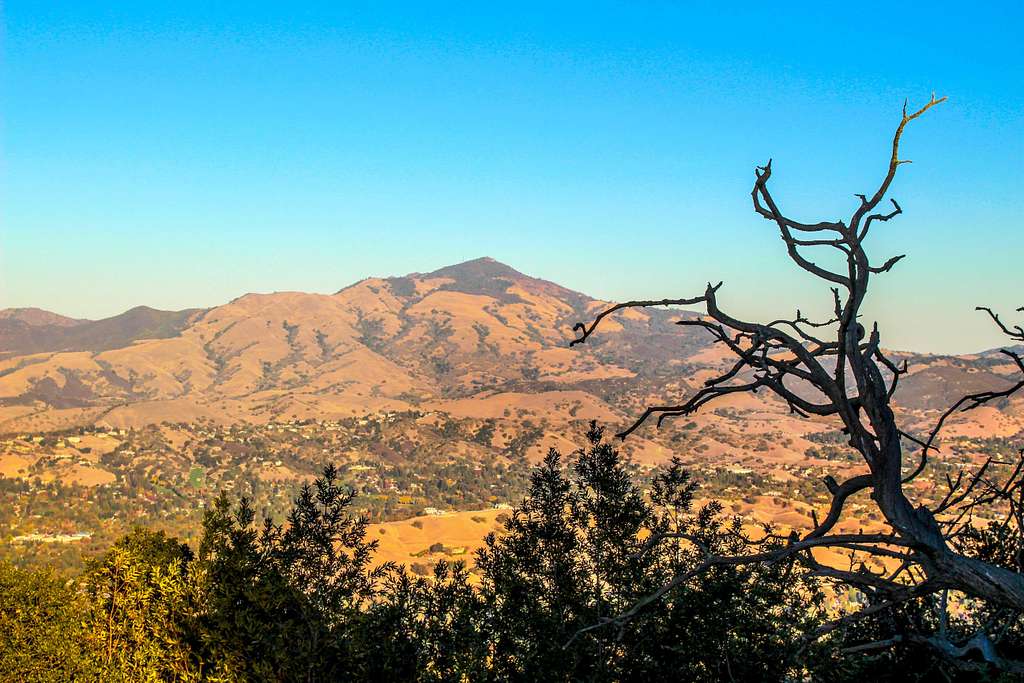Mt. Diablo from Las Trampas Ridge