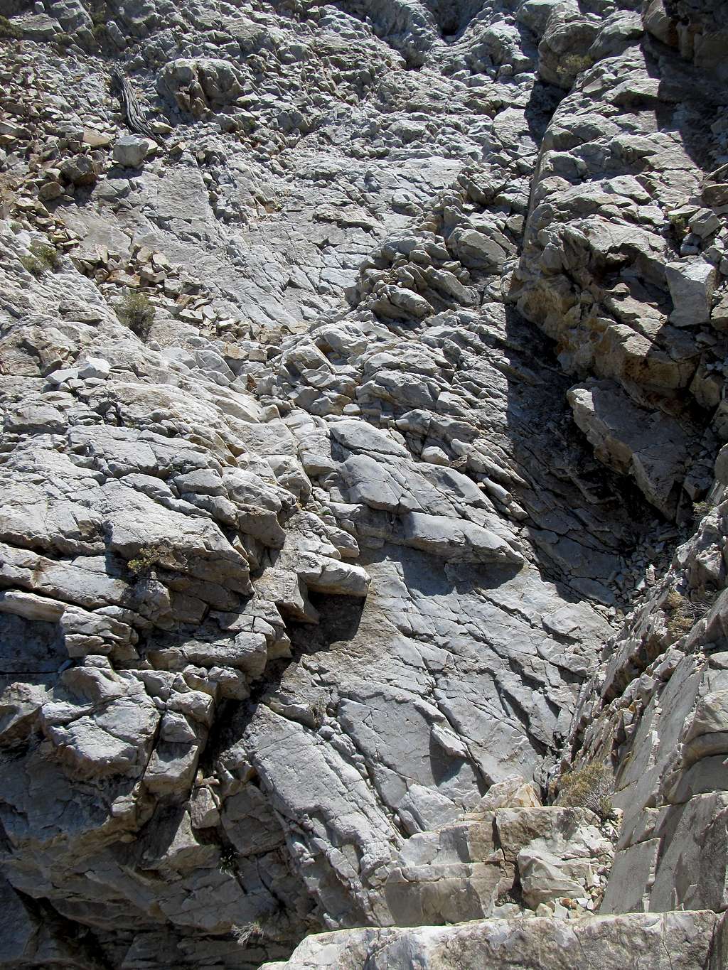 rocky terrain in a low drainage