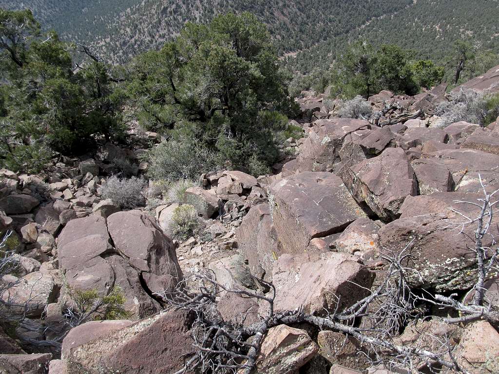 rocky section on SE ridge