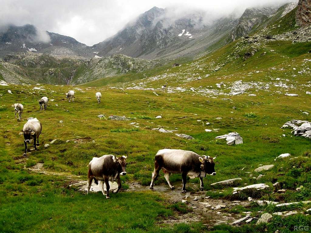 The Halsljoch saddle