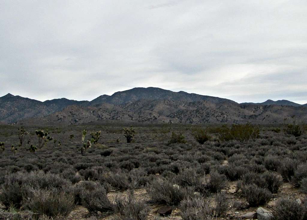 2013 in Nevada -McCullough Mountain (NV)
