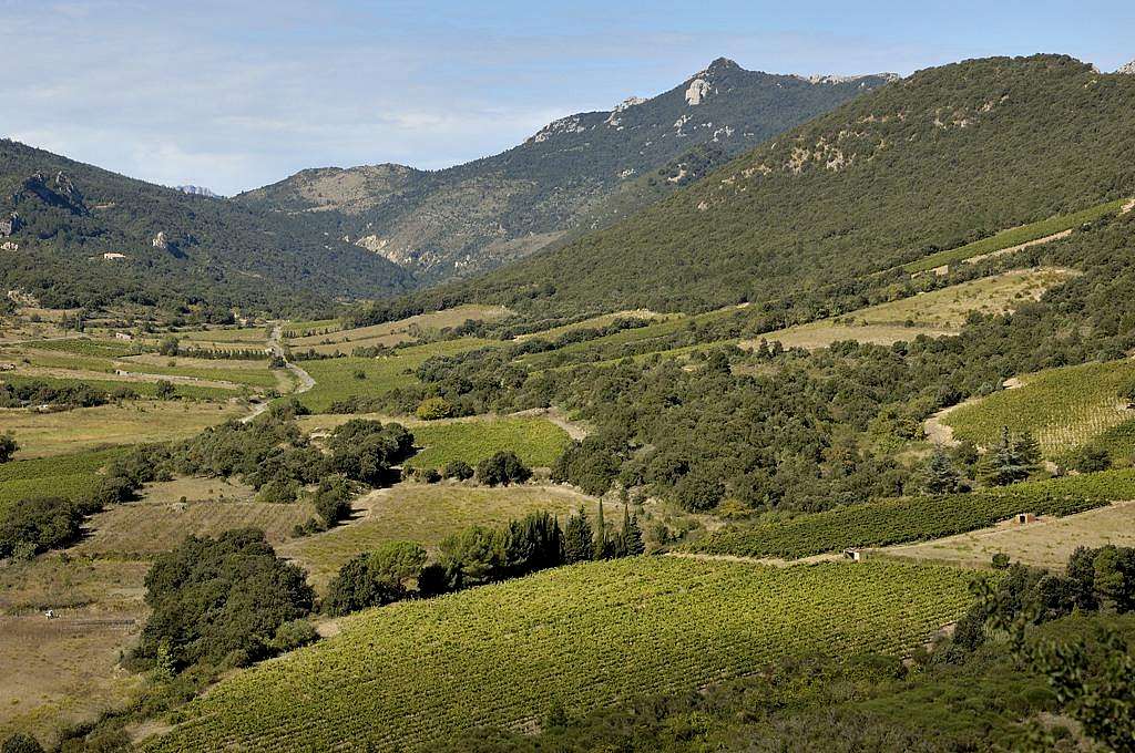 Pyrenees from Cucugnan