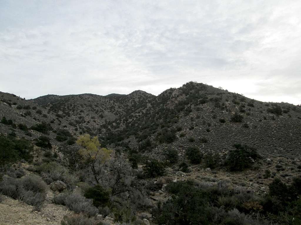 2013 in Nevada - McCullough Mtn