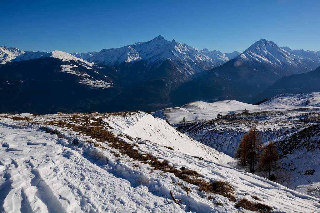 Views of Monte Grivola