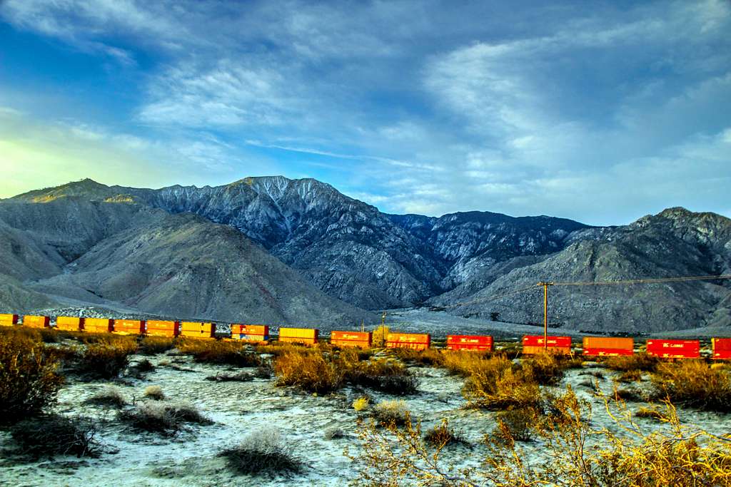 Container cars rumble through the early desert light.