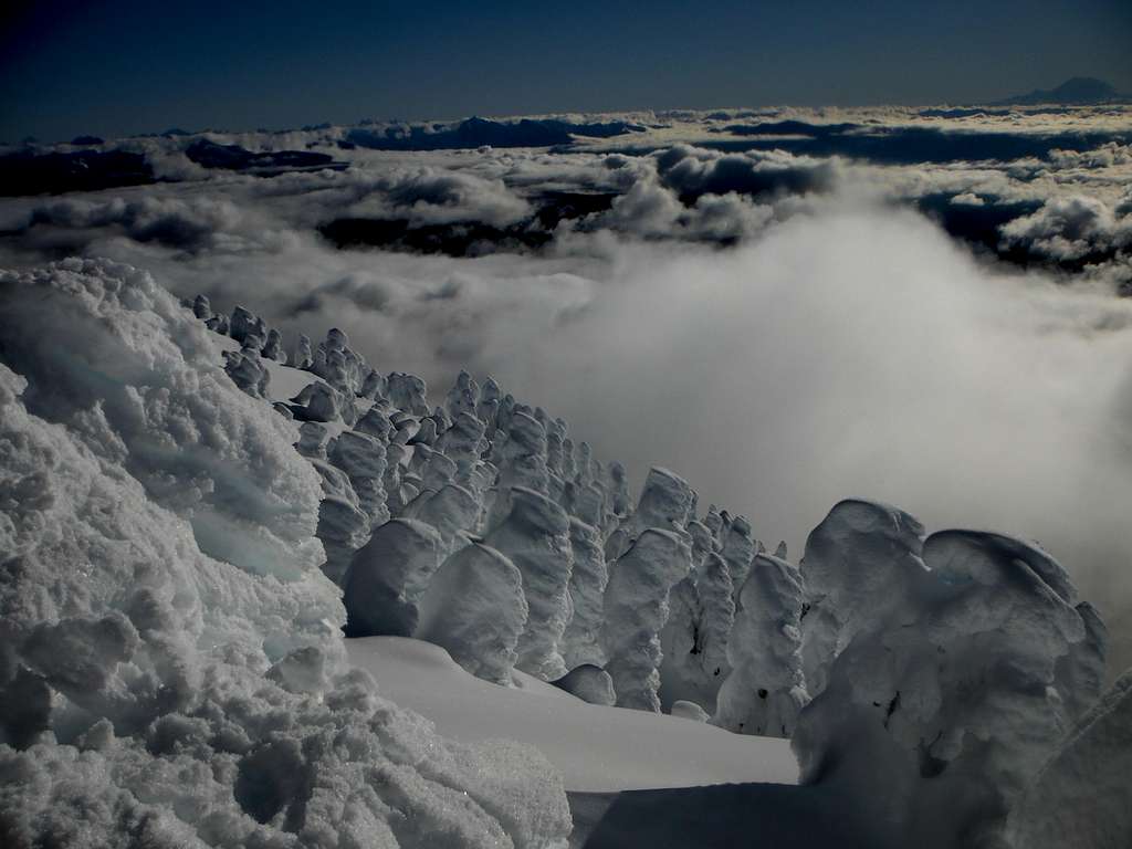 Snow Monsters on Mount Pilchuck